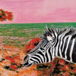 Zebra vor Bucht Mallorca